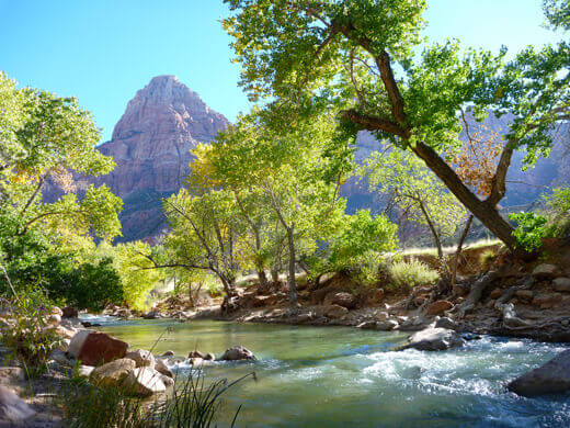Zion: The Promised Land Virgin River