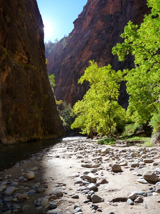 Zion: The Promised Land Zion Narrows
