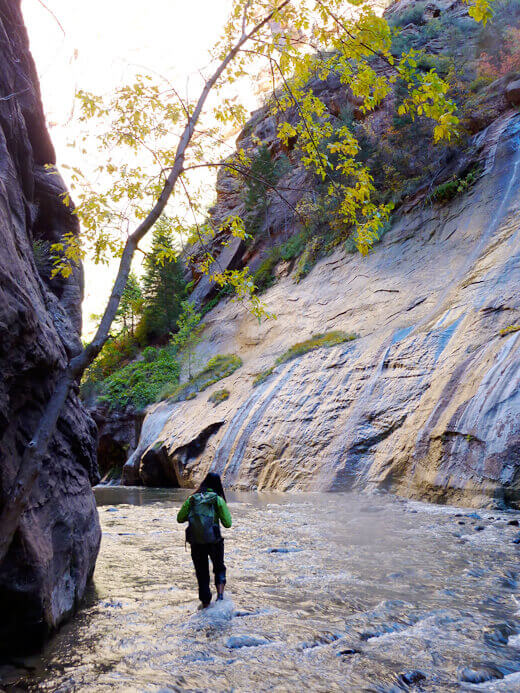 Zion: The Promised Land Hiking the Zion Narrows