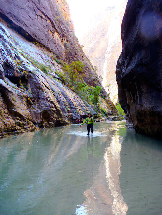 Zion: The Promised Land Hiking the Zion Narrows