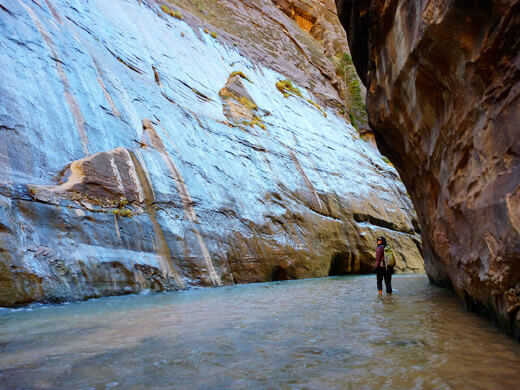 Zion: The Promised Land Hiking the Zion Narrows