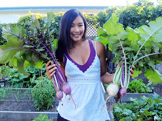 My First Harvest of the Season! Harvesting aka karaine hot radish