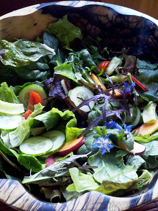 Pretty garden salad