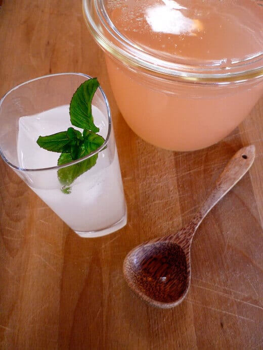 Rhubarb-Vanilla Bean Syrup (and Soda) Rhubarb-vanilla bean soda