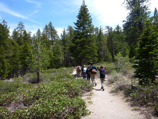 A Very Mammoth Birthday Starting out on the Sherwin Lake Trail