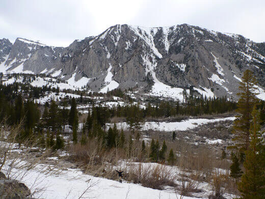 A Very Mammoth Birthday Big snow mounds turned into snow fields