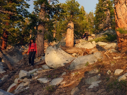 A Very Mammoth Birthday Hiking cross-country down a dirt slope