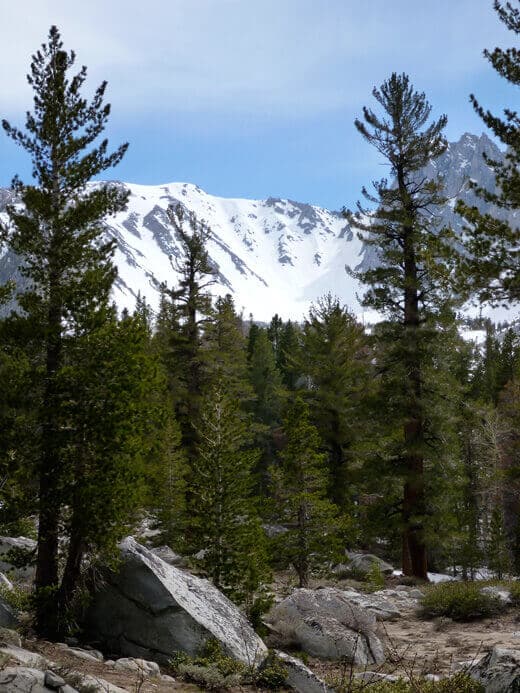 A Very Mammoth Birthday Snowy couloirs for days