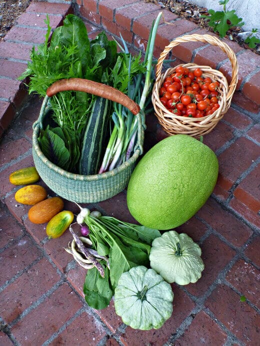 Camping Never Tasted So Good Assorted harvest for camping meals