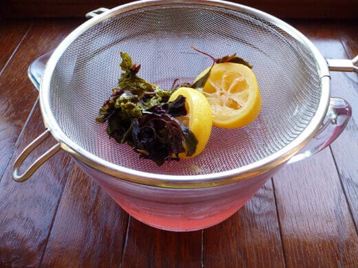 Lemon-Basil Syrup Strain syrup through a fine mesh sieve