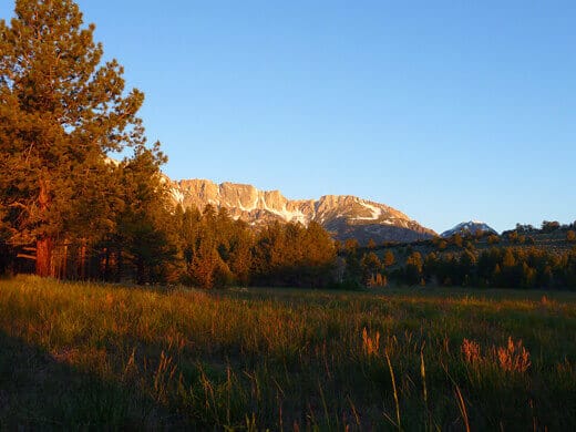 Yosemite in July-uary Wide open meadow surrounded by snow-capped granite peaks