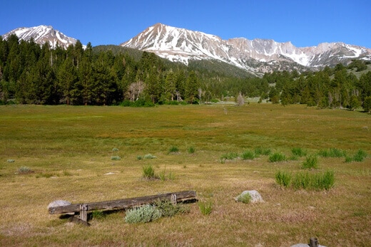 Yosemite in July-uary Old horse meadow ringed with tall pines