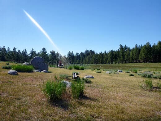 Yosemite in July-uary Old horse meadow ringed with tall pines