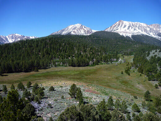 Yosemite in July-uary View of the horse meadow surrounded by granite peaks