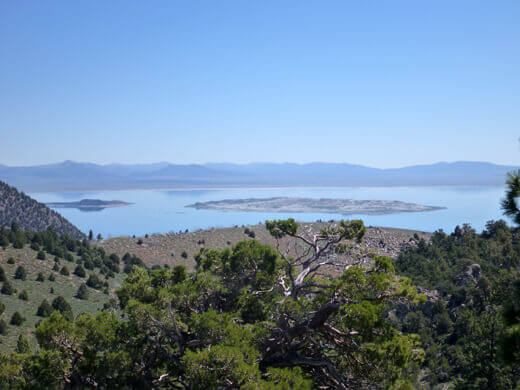 Yosemite in July-uary View of Mono Lake