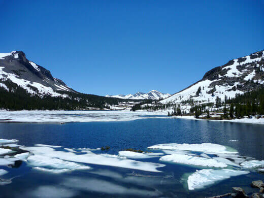 Yosemite in July-uary Tioga Lake in July