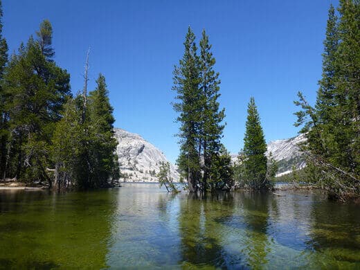 Yosemite in July-uary Flooded Tenaya Lake trail