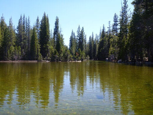 Yosemite in July-uary Flooded Tenaya Lake trail