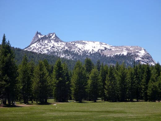 Yosemite in July-uary Cathedral Peak looming over Tuolumne Meadows