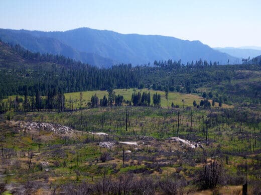 Yosemite in July-uary Driving through the High Sierra
