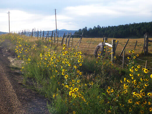 Favorite Moments from Pagosa Springs A pure and simple slice of the rustic life