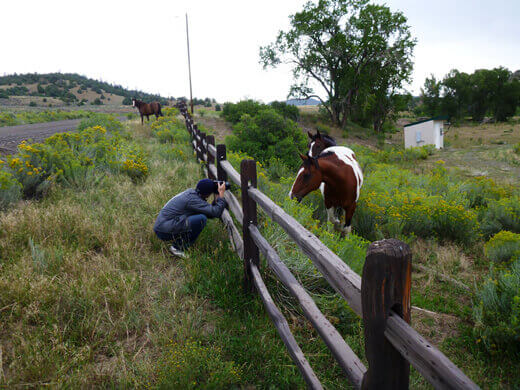 Favorite Moments from Pagosa Springs Sweet horses in Pagosa Springs