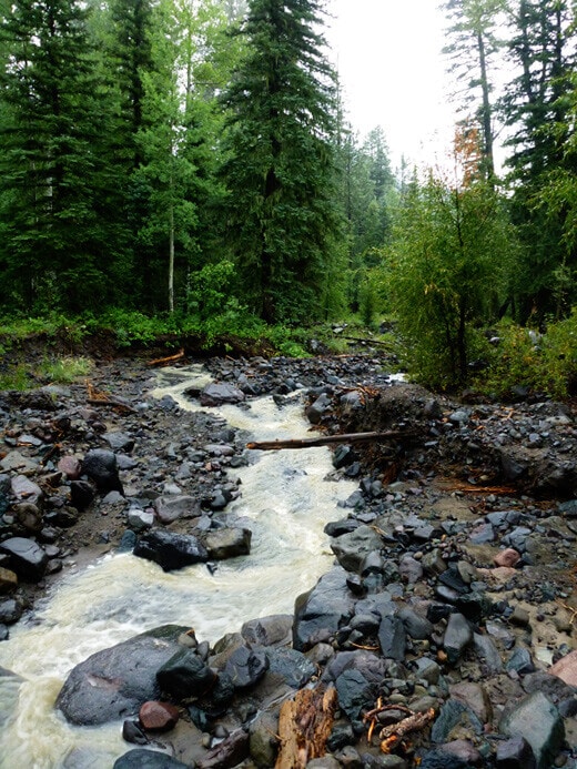 Favorite Moments from Pagosa Springs Rocky, fast-flowing creek