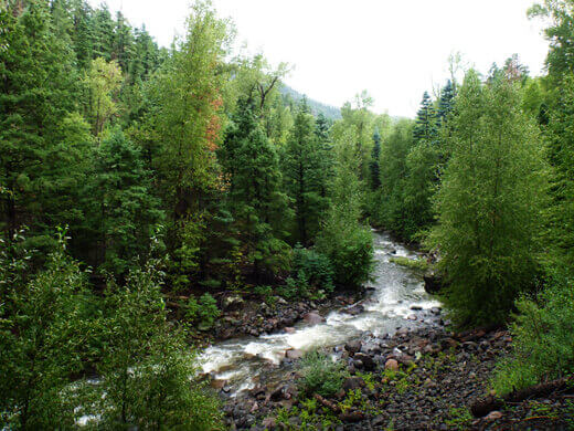 Favorite Moments from Pagosa Springs Piedra River