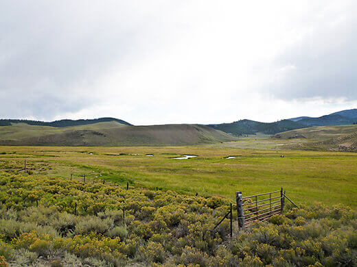 Road Trip Through Southern Colorado Verdant Colorado farmland
