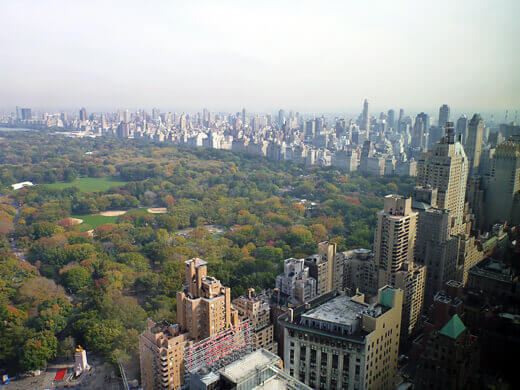 I Won! Country Living's Blue Ribbon Blogger Awards Central Park and the Manhattan skyline