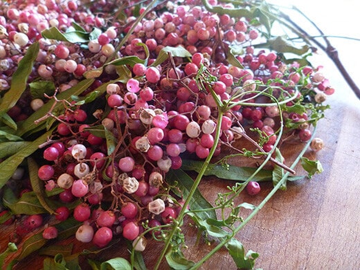 Peruvian Pink Peppercorns Peruvian pepper berries