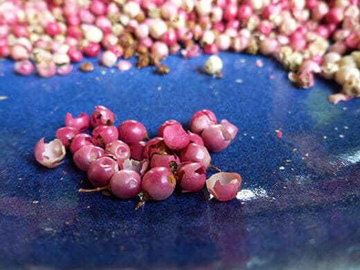 Peruvian Pink Peppercorns Smooth pink peppercorns