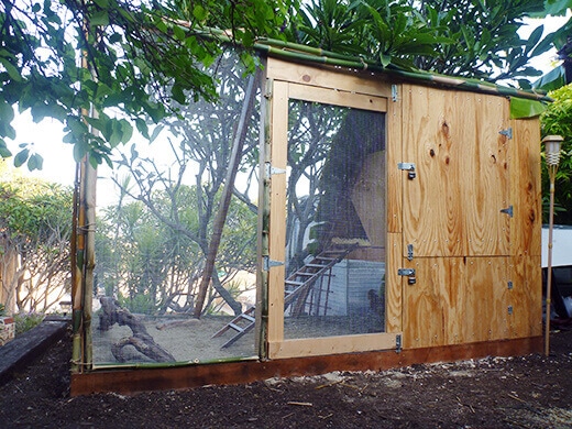 Aloha to the New Tiki Coop! The Garden Betty tiki coop