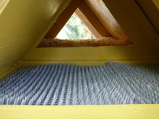 Aloha to the New Tiki Coop! Plastic nest pads inside the egg box