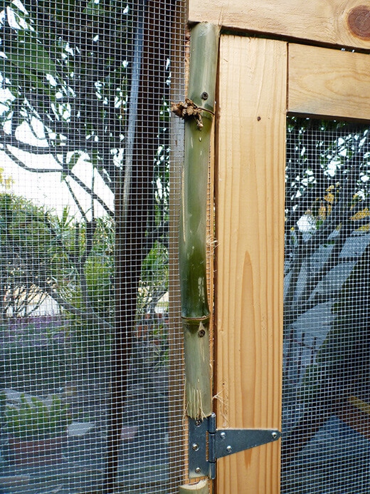 Aloha to the New Tiki Coop! Bamboo lath
