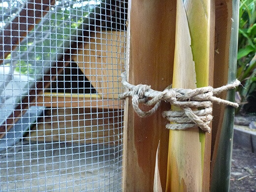 Aloha to the New Tiki Coop! Bamboo stalks tied with jute twine