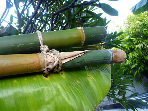 Aloha to the New Tiki Coop! Bamboo stalks tied with jute twine