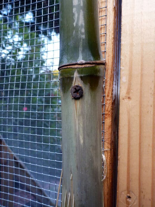 Aloha to the New Tiki Coop! Weathered bamboo stalk