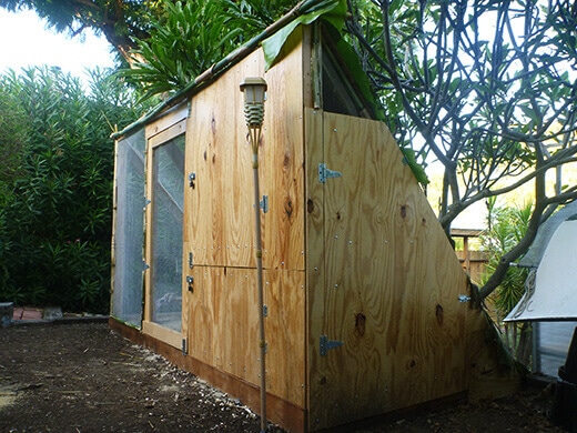 Aloha to the New Tiki Coop! Side of the coop