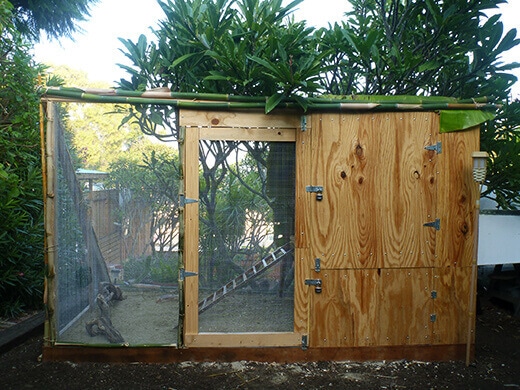 Aloha to the New Tiki Coop! Front of the coop