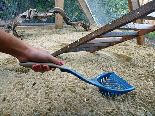 Aloha to the New Tiki Coop! Oversized litter scoop