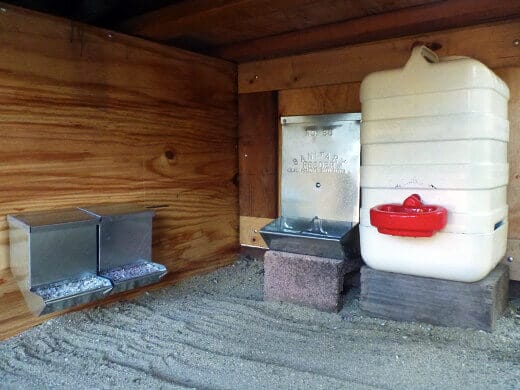 Aloha to the New Tiki Coop! Oyster shell and grit feeders, baby pig creep feeder, and waterer