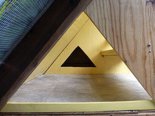 Aloha to the New Tiki Coop! Open pop door into the coop