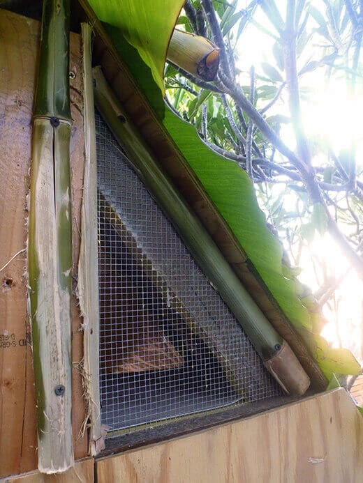 Aloha to the New Tiki Coop! Attic with bay window