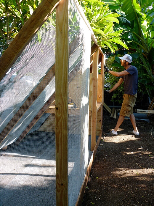 The Nuts and Bolts of the Tiki Coop Attaching hardware cloth to the framing