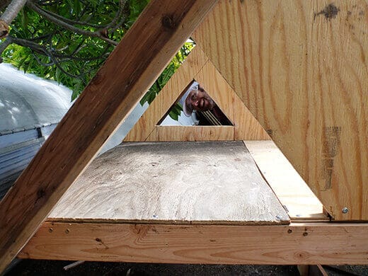 The Nuts and Bolts of the Tiki Coop Erecting walls from plywood