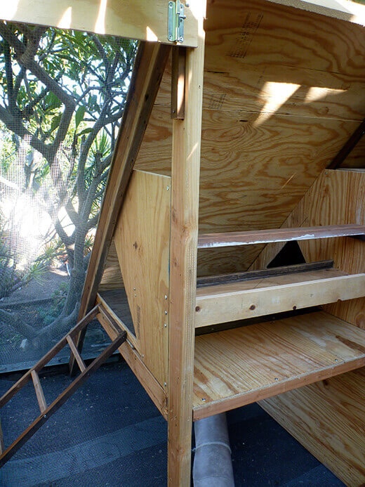 The Nuts and Bolts of the Tiki Coop An open pop door to the coop