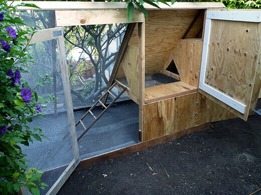 The Nuts and Bolts of the Tiki Coop Two separate doors for the coop and feeding station