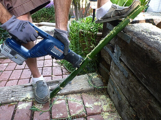The Nuts and Bolts of the Tiki Coop Sawing a bamboo stalk in half