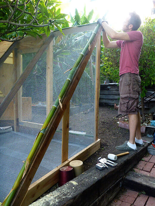 The Nuts and Bolts of the Tiki Coop Adorning the coop with sustainable tiki flair